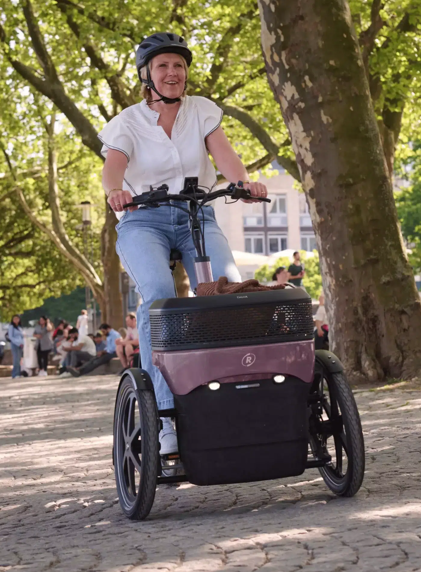 thuija_tricycle_electrique_vanraam_addbike_3