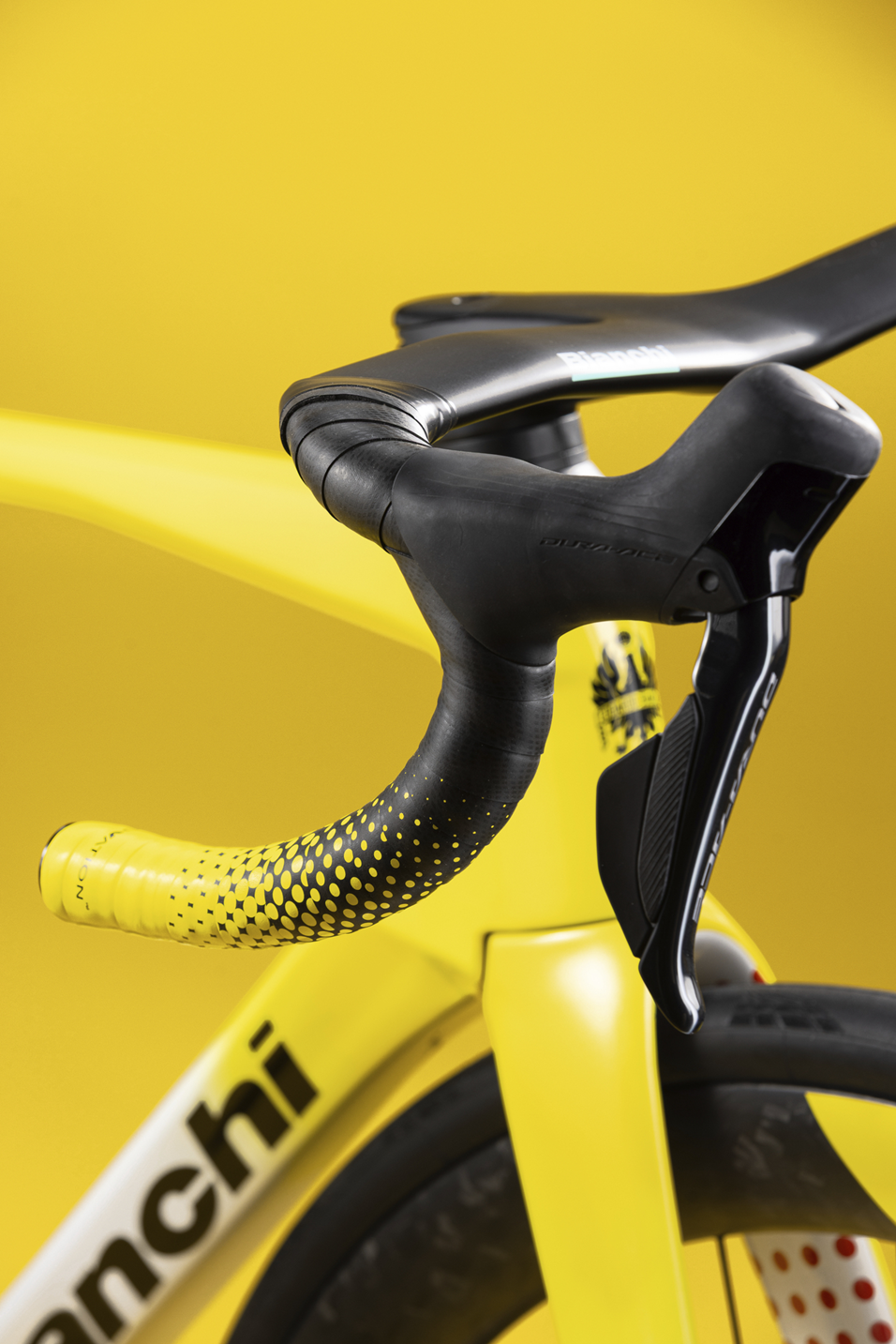 Specialissima_rc_tour_de_france_limited_edition_bianchi_7