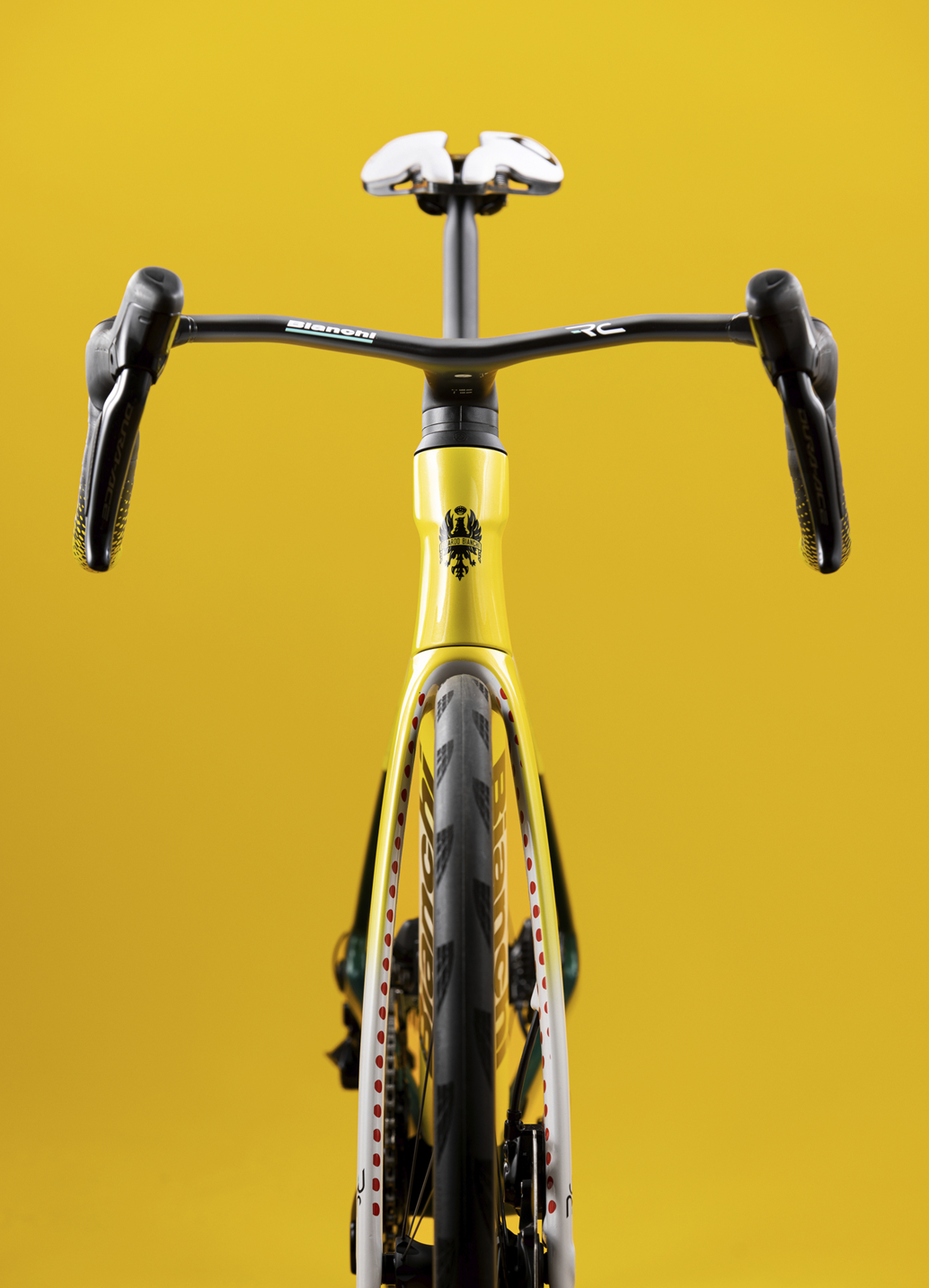 Specialissima_rc_tour_de_france_limited_edition_bianchi_3
