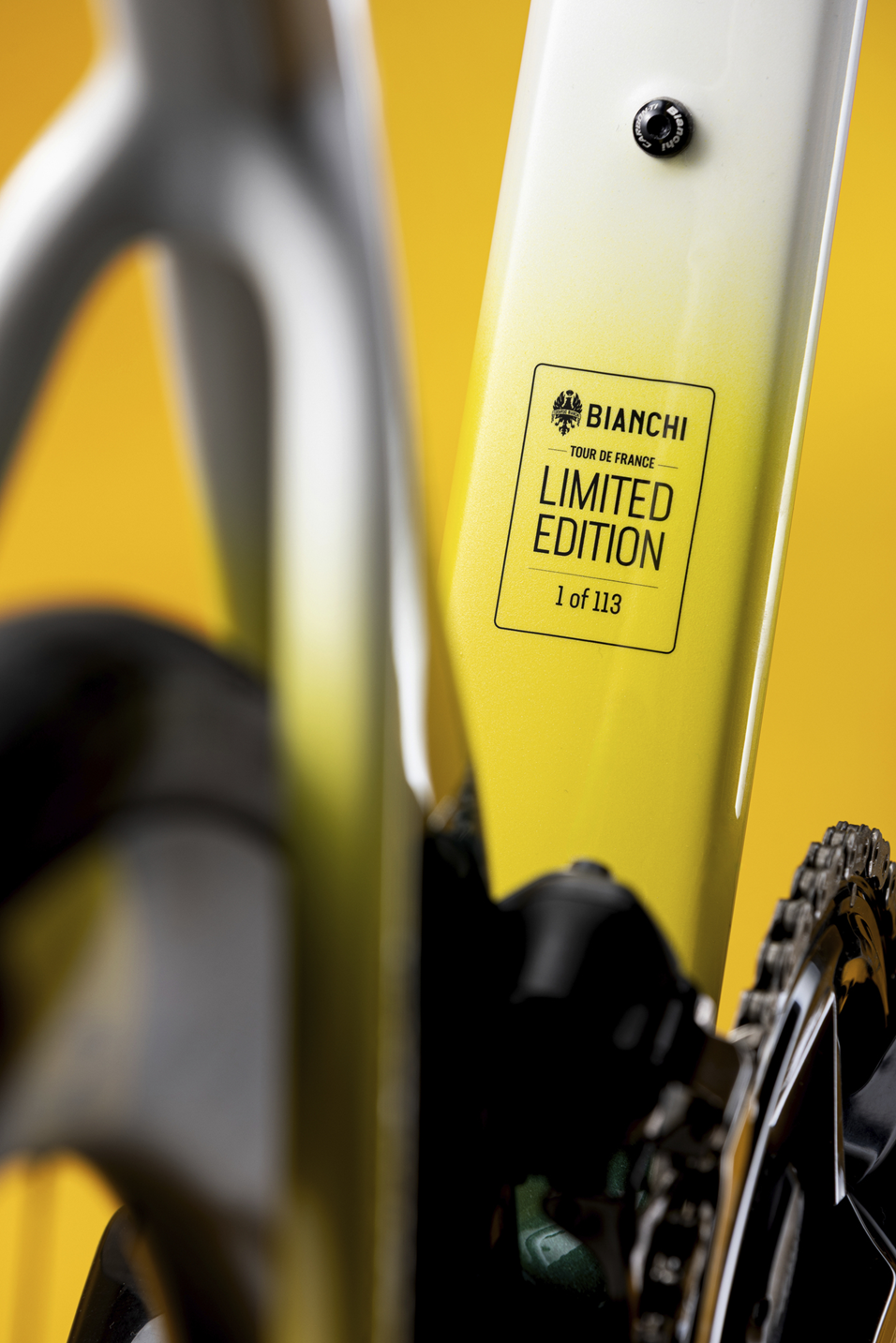 Specialissima_rc_tour_de_france_limited_edition_bianchi_8