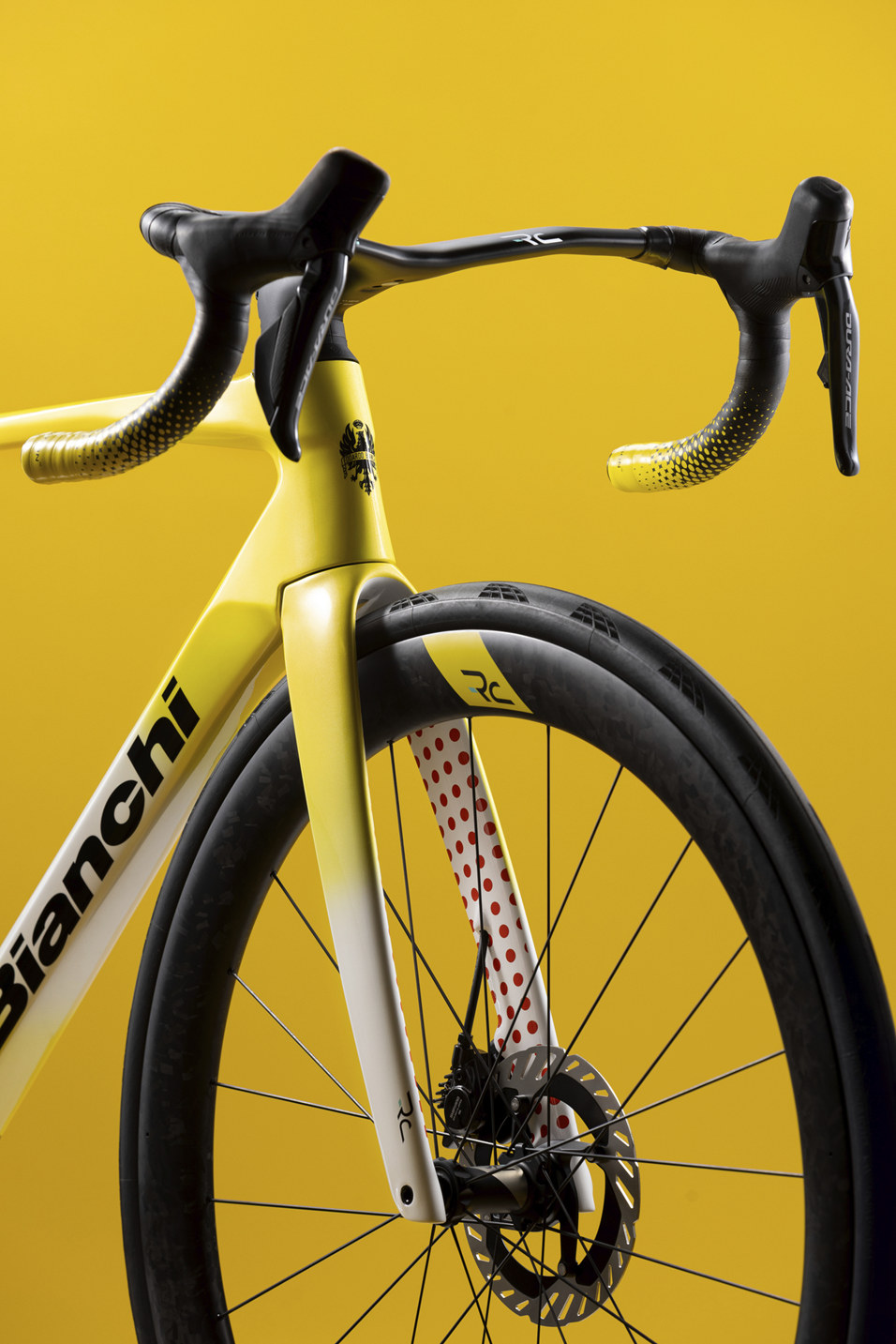 Specialissima_rc_tour_de_france_limited_edition_bianchi_13