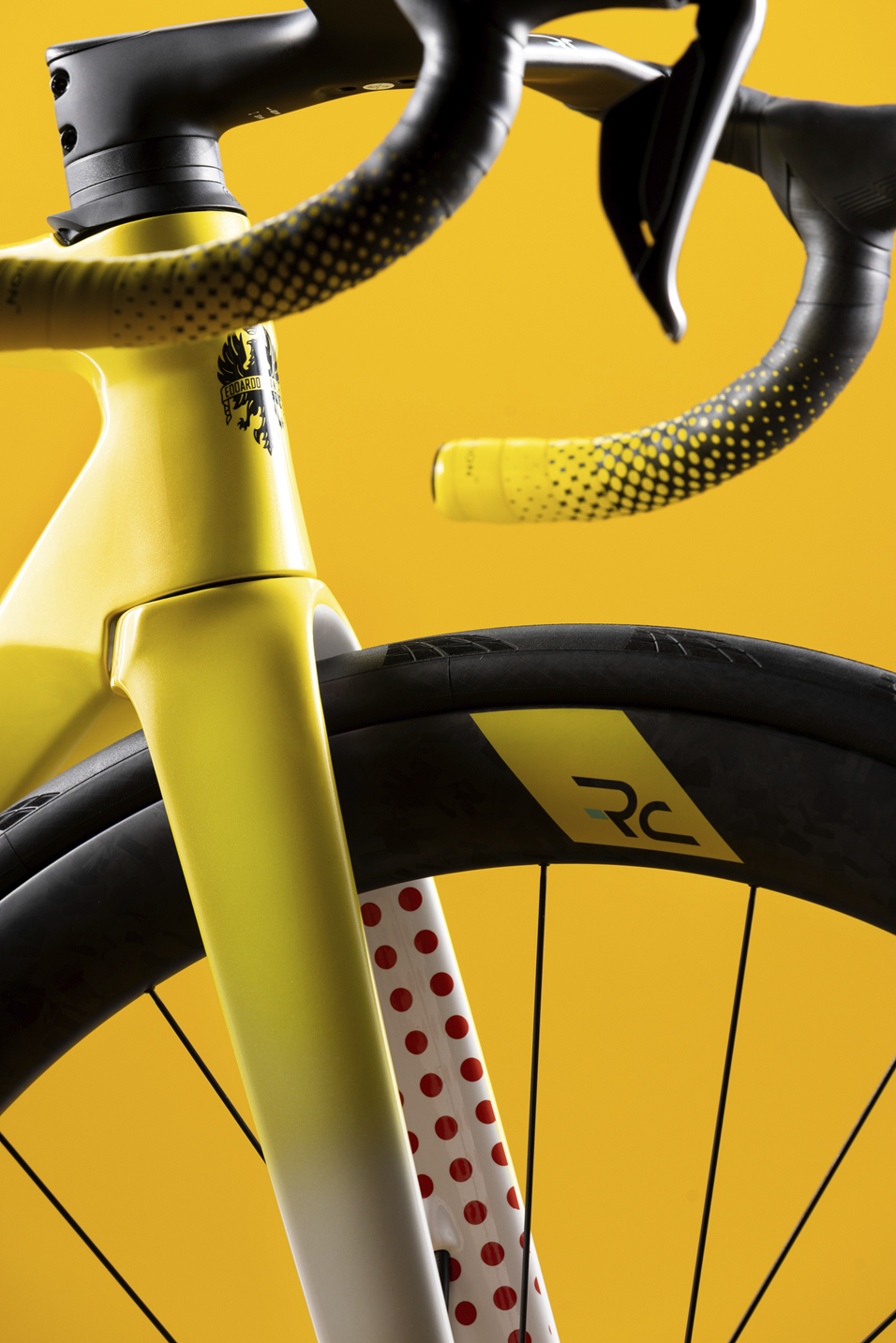 Specialissima_rc_tour_de_france_limited_edition_bianchi_11