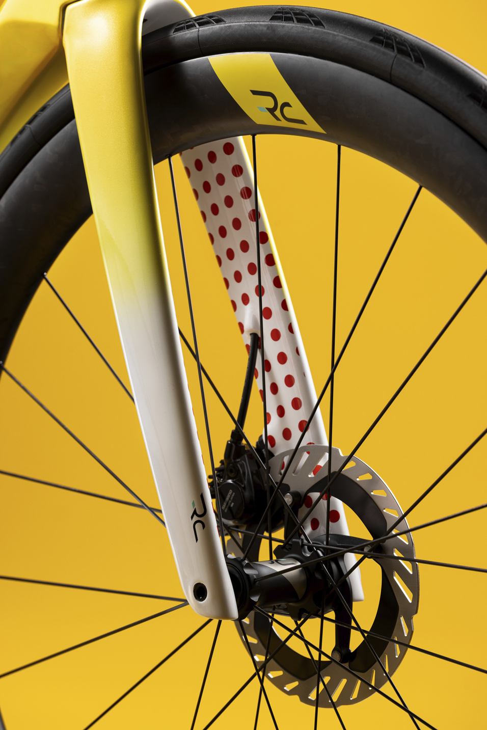Specialissima_rc_tour_de_france_limited_edition_bianchi_18
