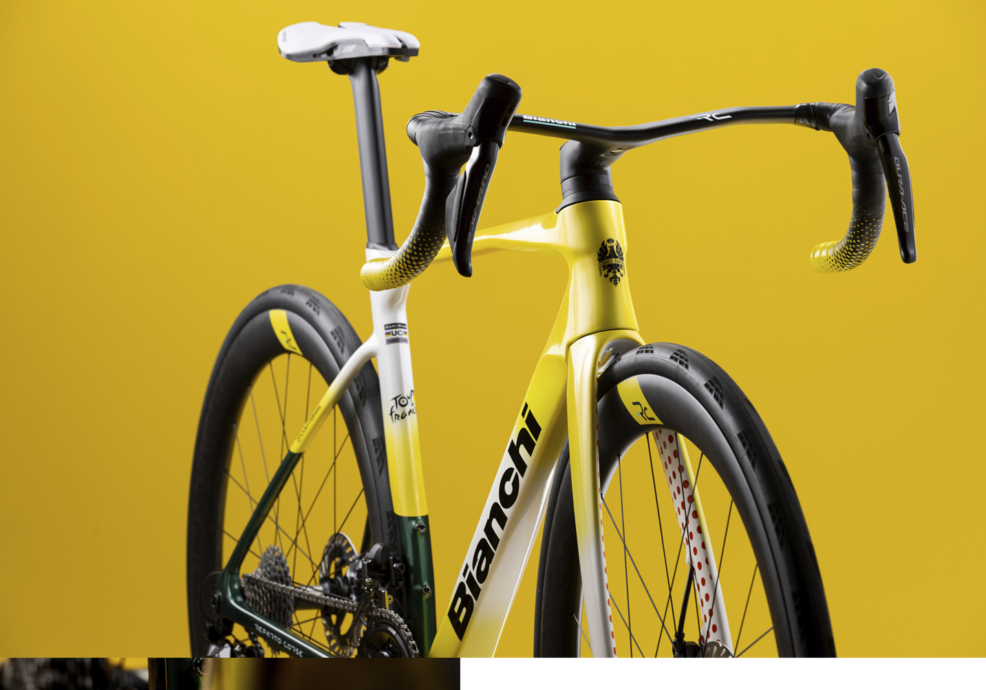 Specialissima_rc_tour_de_france_limited_edition_bianchi_16