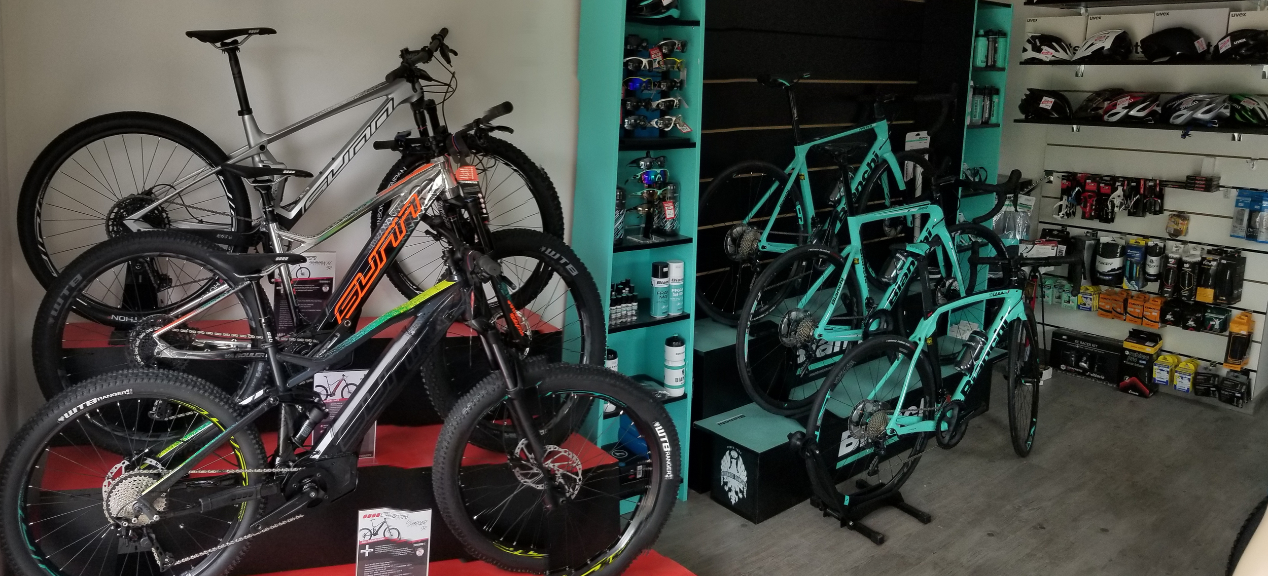 Intérieur du magasin SPEEDCYCLES avec présentation de vélos Bianchi et Sunn