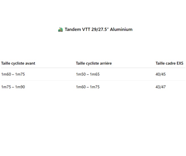 🚵‍♂️ Tandem VTT 29/27.5’’ Aluminium