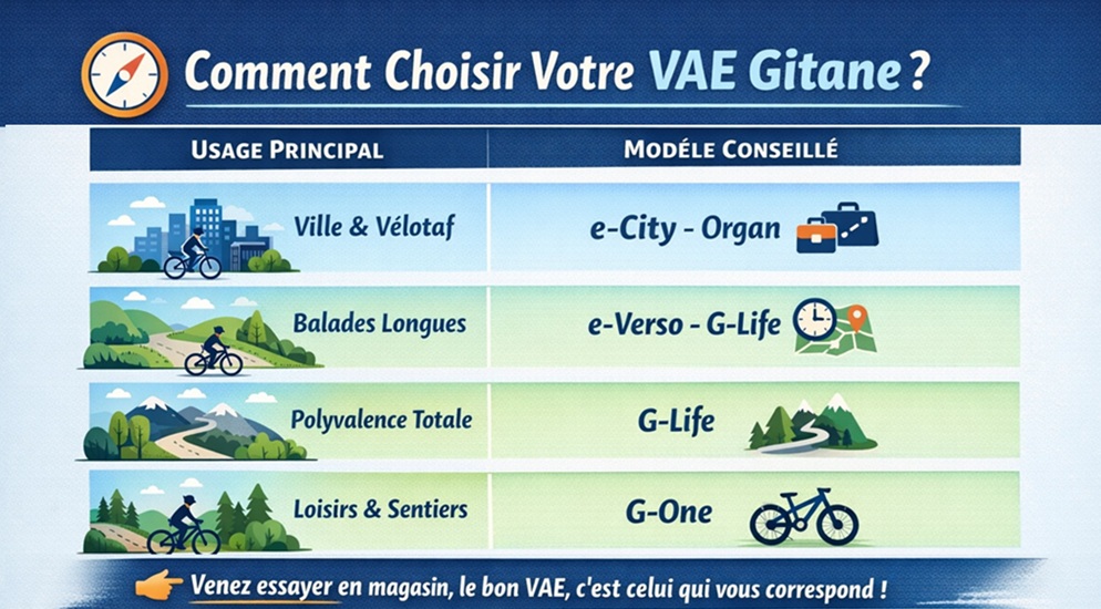 tableau choisir son vae gitane blog
