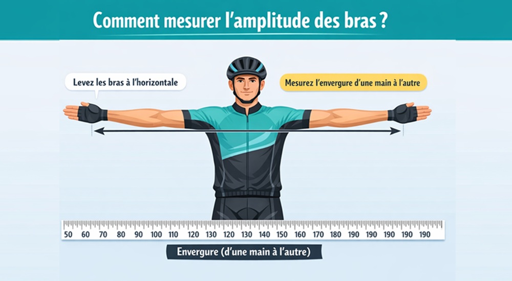 tableau amplitude bras bianchi