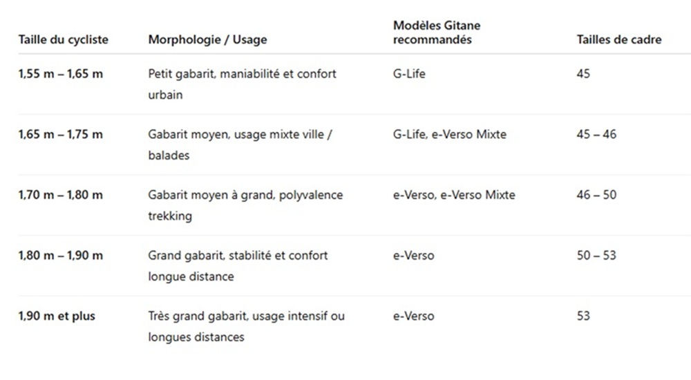 tableau taille vae trekking gitane 2