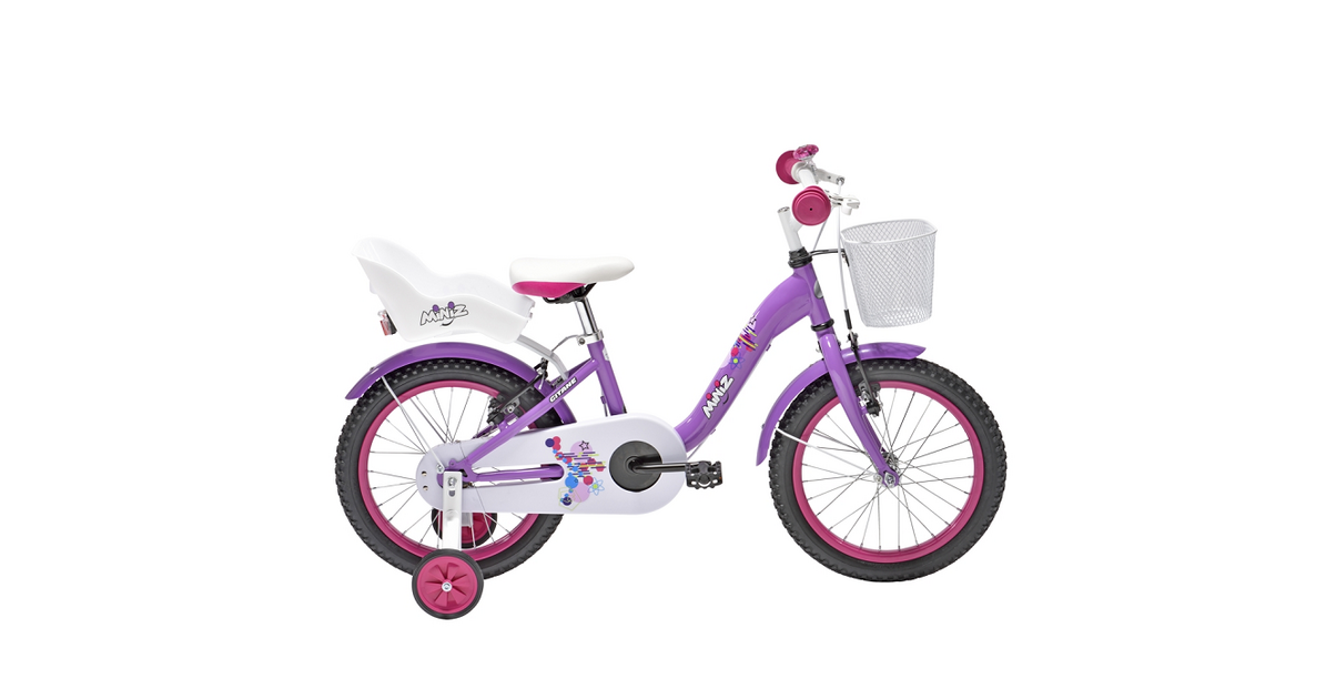 Vélo Enfant 16 Pouces Avec Roues Stabilisatrices - Pour 5 à 8 Ans (105-135 Cm) - Freins à Disque Avant, Selle Et Guidon Réglables - 9