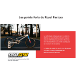 race_royal_factory_bmx_aluminium_sunn_2023_4