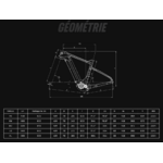 e_arcadex_disc_13v_bosch_500wh_velo_carbone_electrique_gravel_bianchi_2023_geo