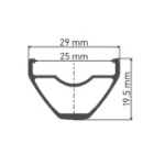 roues_dtswiss_XR_1700_29_325_cl_p4