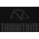 specialissima_rc_disc_noir_carbone_celeste_metallic_mr_cadre_bianchi_2024_geo