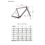 g_wild_alpina_carbon_velo_gravel_noir_gitane_2024_geo