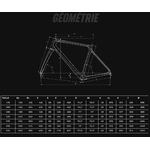 infinito_icr_ultegra_di2_disc_compact_12v_noir_glossy_2m_velo_bianchi_2025_geo