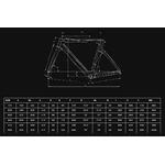 oltre_rc_dura_ace_di2_velo_serie_limitee_140th_anniversaire_bianchi_geo