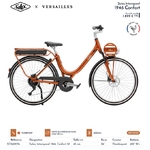 Intemporel_confort_versailles_bafang_arriere_disc_400wh_26_flamboyant_solex_2