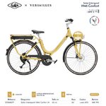 Intemporel_confort_versailles_bafang_arriere_disc_400wh_26_or_solex_2