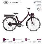 Intemporel_confort_versailles_bafang_arriere_disc_400wh_26_violet_solex_2