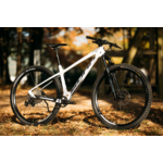 prim_s2_vtt_carbone_sunn_2025_3