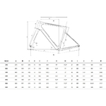 Infinito_pro_velo_bianchi_2026_geo