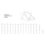 Infinito_launch_edition_velo_violet_iz_bianchi_2026_geo