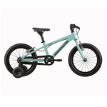 Xr16_vtt_enfant_celeste_bianchi_2026