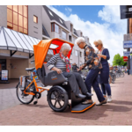 chat_tricycle_electrique_vanraam_addbike_3