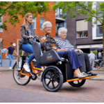 chat_tricycle_electrique_vanraam_addbike_4