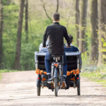 chat_tricycle_electrique_vanraam_addbike_10