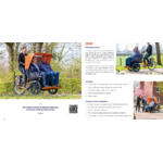 chat_tricycle_electrique_vanraam_addbike_11