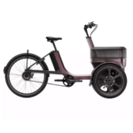thuija_tricycle_electrique_vanraam_addbike