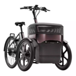 thuija_tricycle_electrique_vanraam_addbike_2