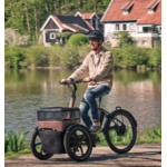 thuija_tricycle_electrique_vanraam_addbike_4