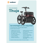 thuija_tricycle_electrique_vanraam_addbike_8