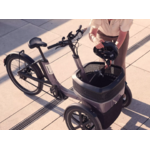 thuija_tricycle_electrique_vanraam_addbike_5