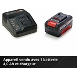 81GxEELIe-L._AC_SL1500_
