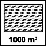 813E7WVlSsL._AC_SL1500_