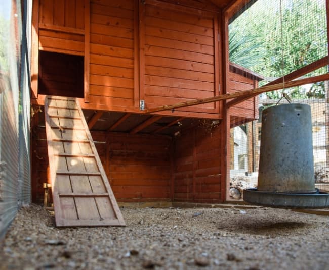 interieur d un poulailler