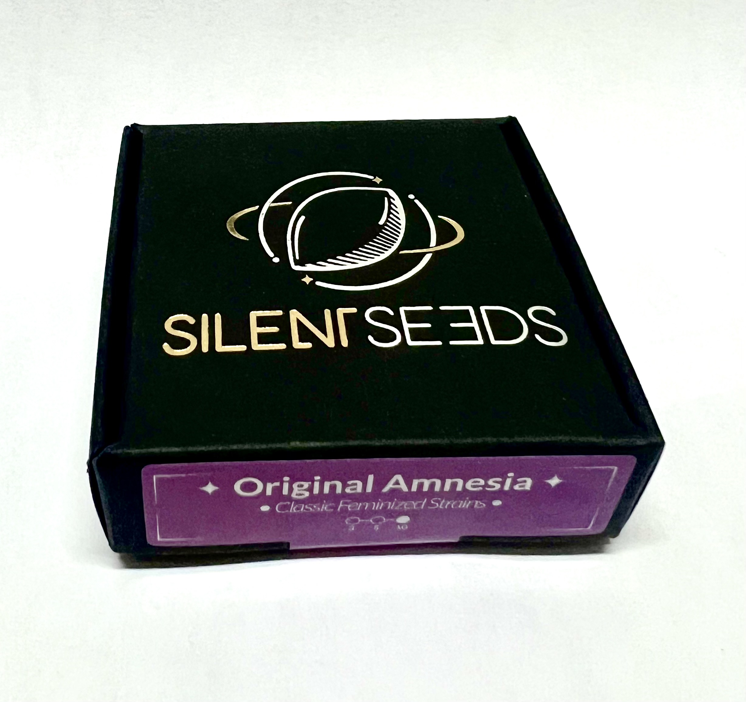 Original Amnesia - Silent seeds