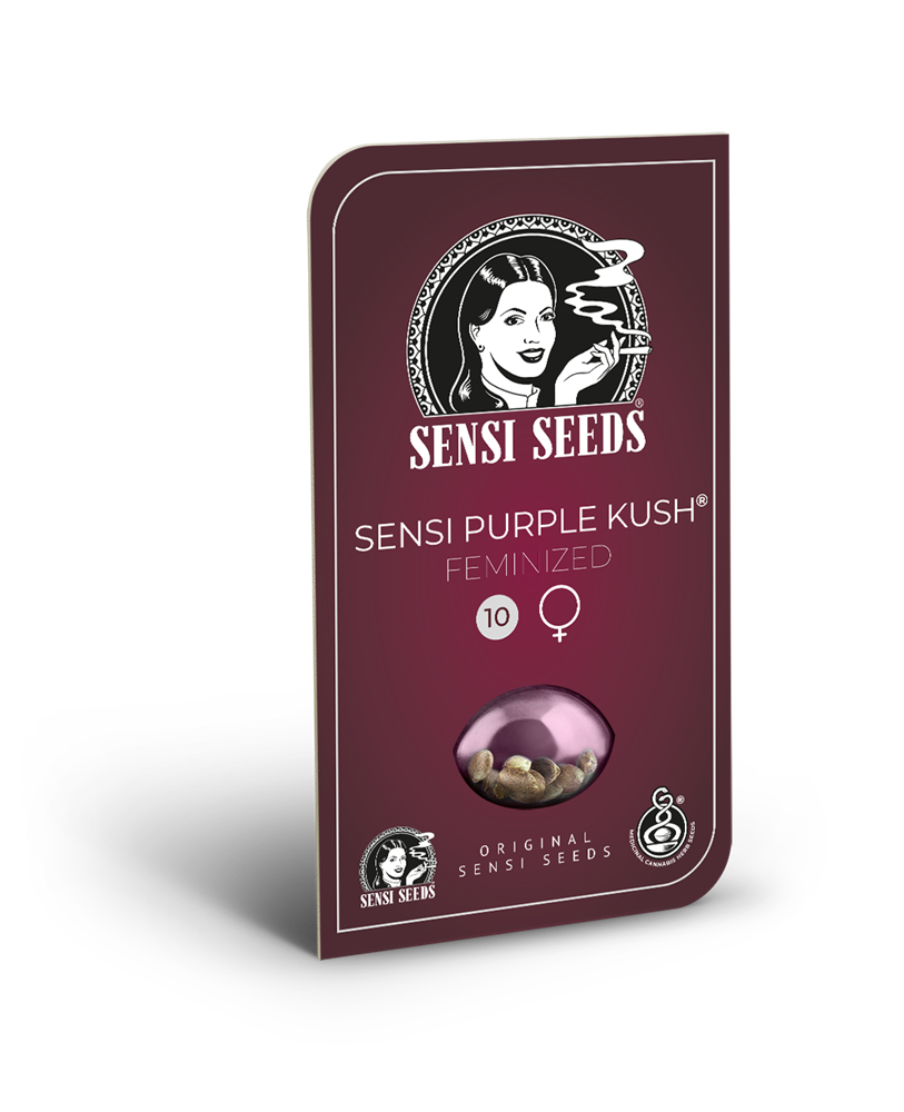 sensi-purple-kush-ok