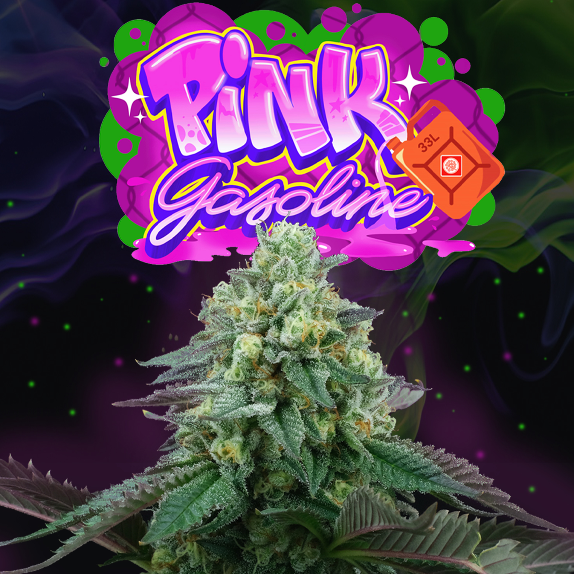 Pink Gasoline x6 + 3 Tropic\'ozz - Perfect Tree Seed
