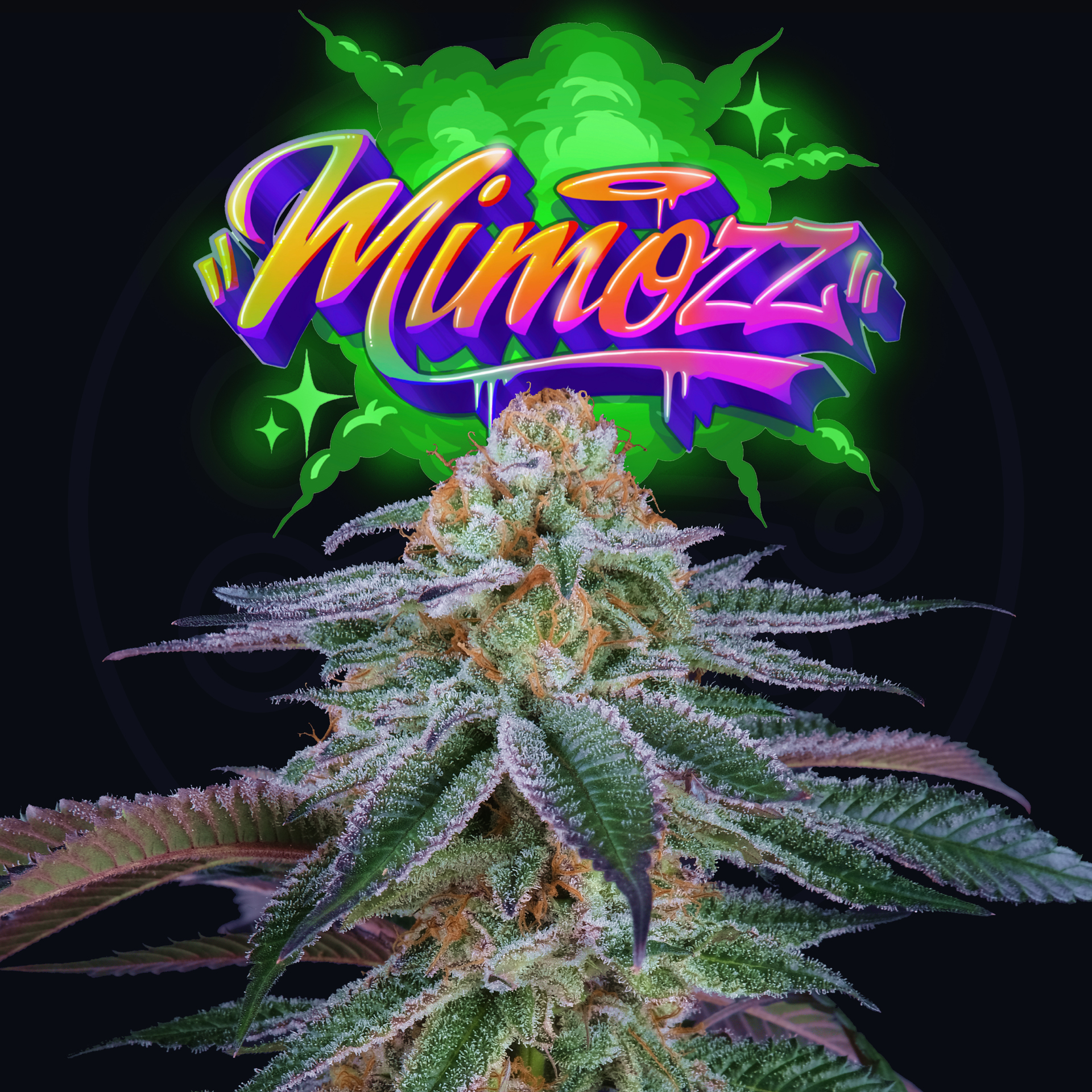 Mimozz x6 + 3 Tropic\'ozz - Perfect Tree Seed