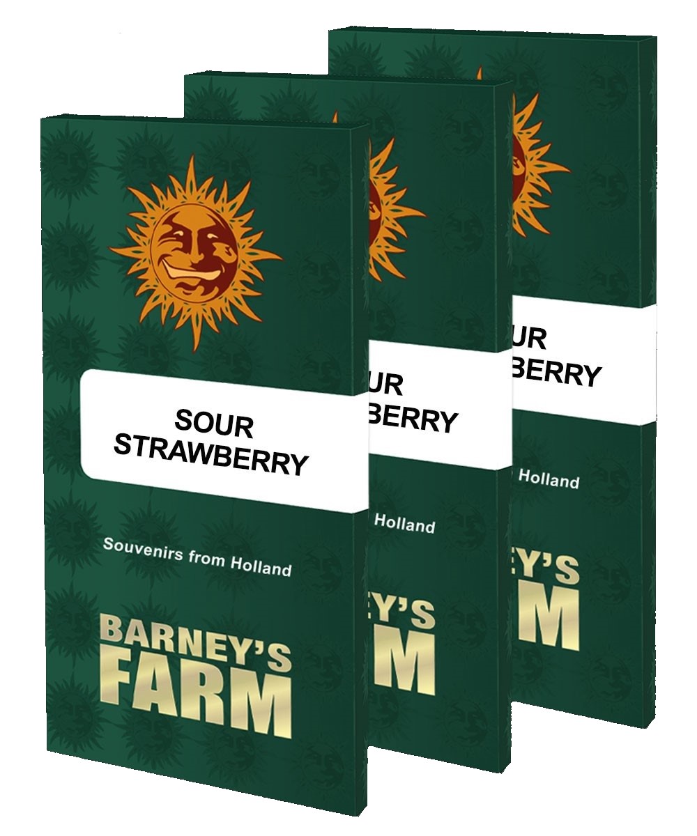 Sour Strawberry - Barney\'s Farm