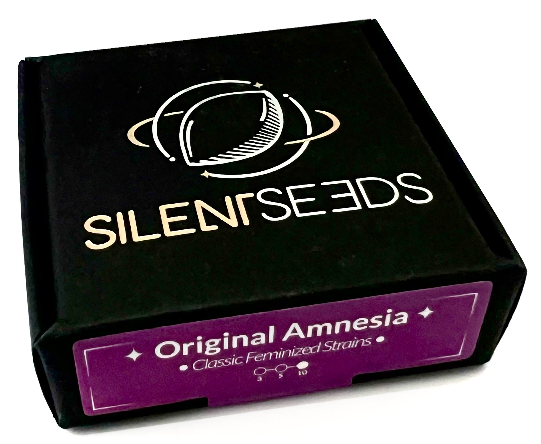 Original_Amnesia_Silent_Seeds