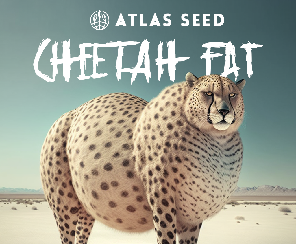 Cheetah_Fat_Atlas_Seed_Pack
