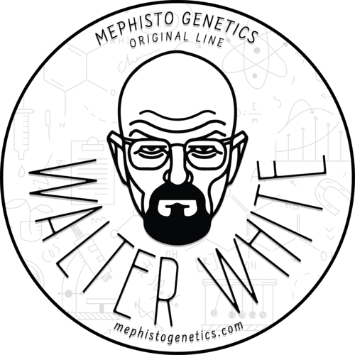 Walter_White_Mephisto_logo