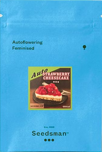 Strawberry_Cheesecake_Auto_Pack_Seedsman