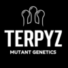 Terpyz Mutant Genetics